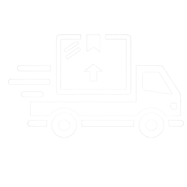 express delivery2